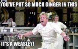 gordon-ramsay-insults-so-raw-theyll-give-you-salmonella-40-photos-12